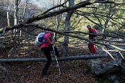 Sul CORNO ZUCCONE, guardiano della Val Taleggio, l’8 novembre 2016 - FOTOGALLERY
